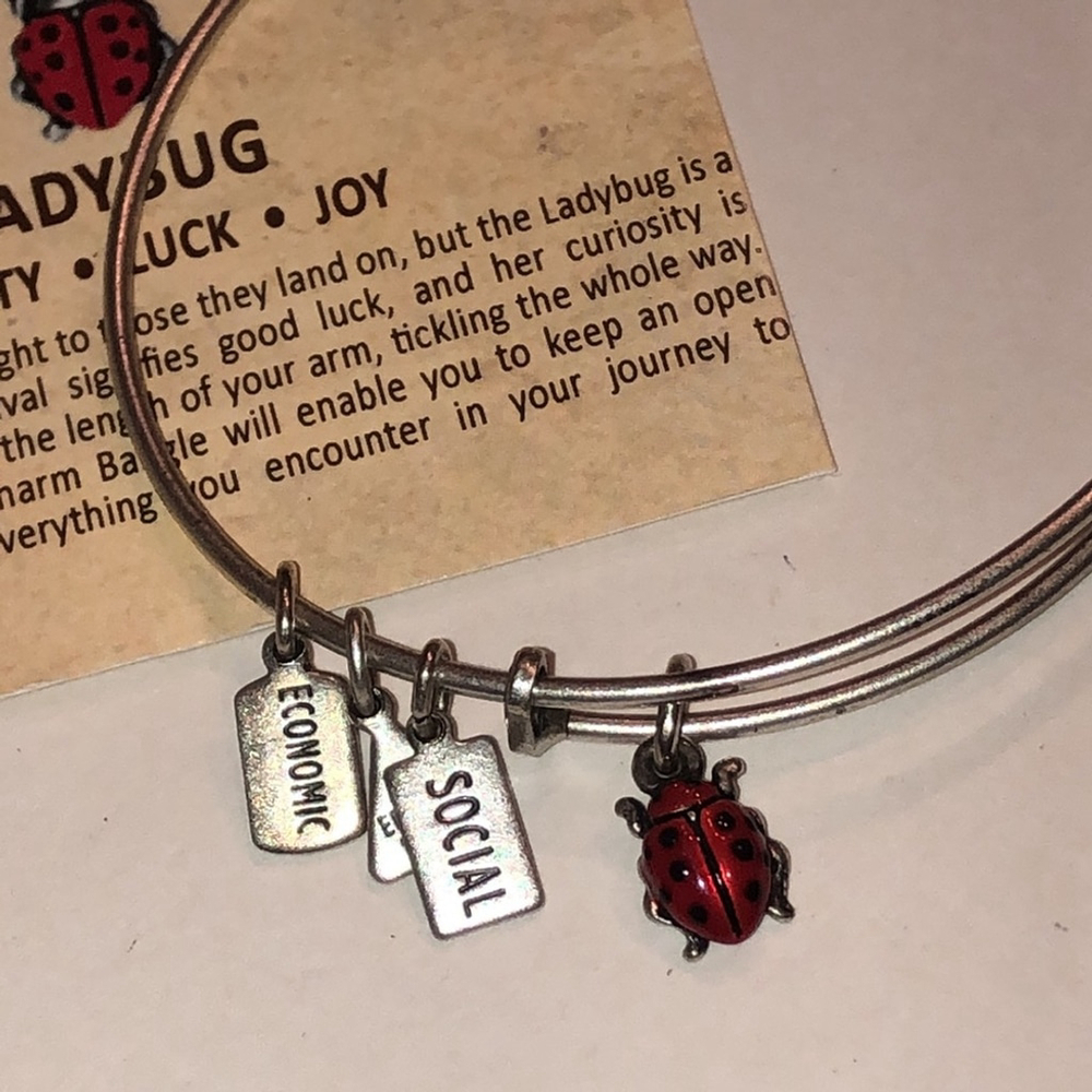 Alex and Ani Silver Tone Ladybug Charm Bracelet